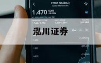 关于杠杆炒股指软件的信息